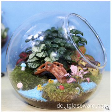 Echt schönes funktionelles Pflanzenterrarium